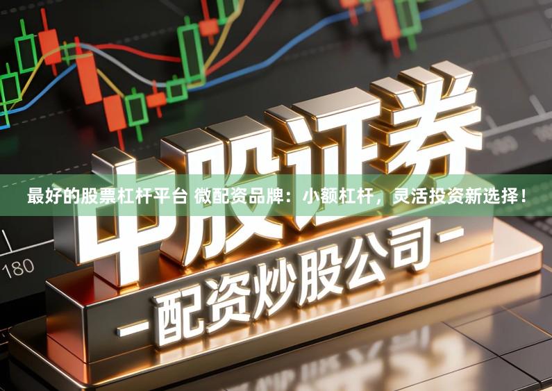 最好的股票杠杆平台 微配资品牌：小额杠杆，灵活投资新选择！
