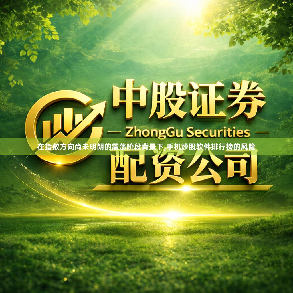 在指数方向尚未明朗的震荡阶段背景下,手机炒股软件排行榜的风险