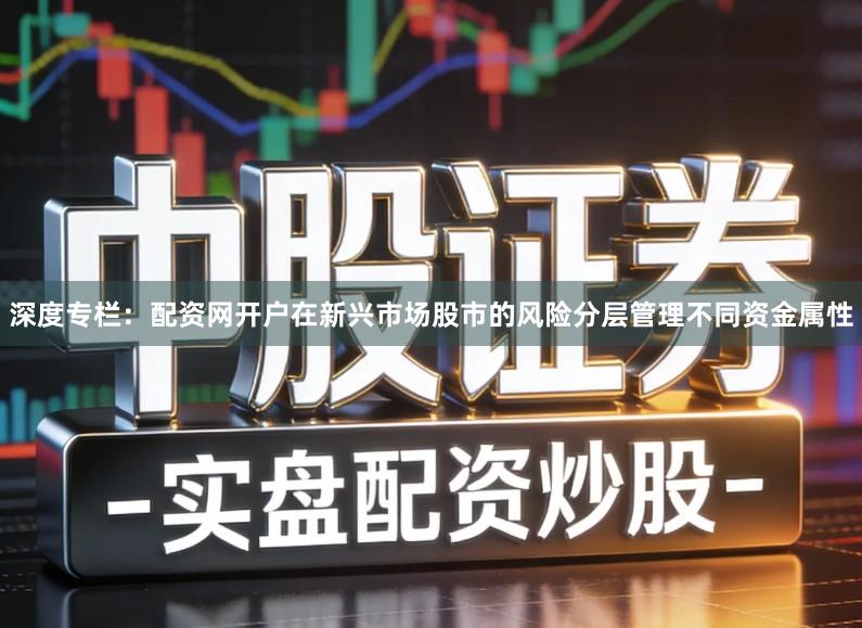 深度专栏：配资网开户在新兴市场股市的风险分层管理不同资金属性