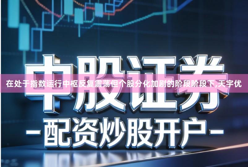 在处于指数运行中枢反复震荡但个股分化加剧的阶段阶段下,天宇优