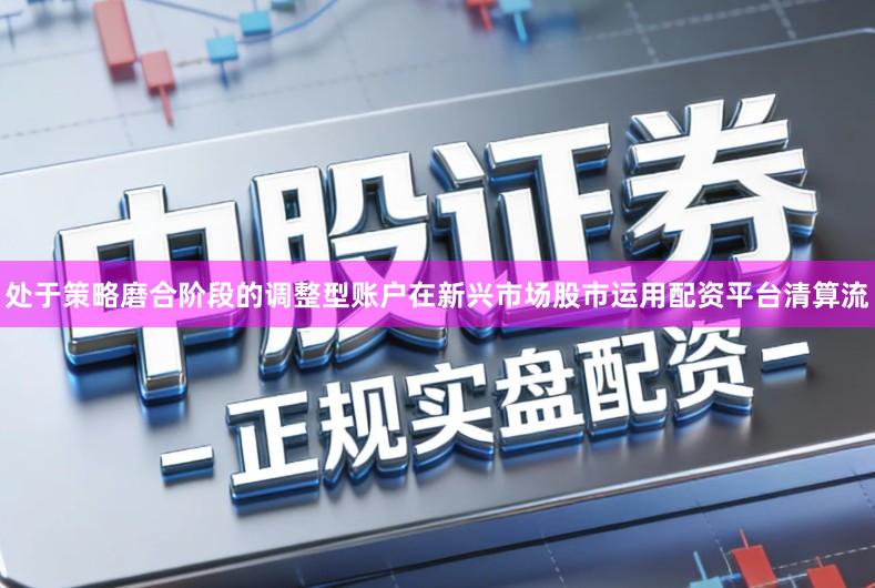 处于策略磨合阶段的调整型账户在新兴市场股市运用配资平台清算流