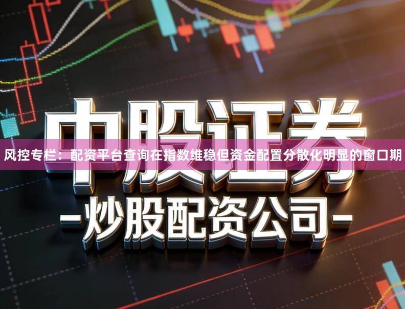 风控专栏：配资平台查询在指数维稳但资金配置分散化明显的窗口期
